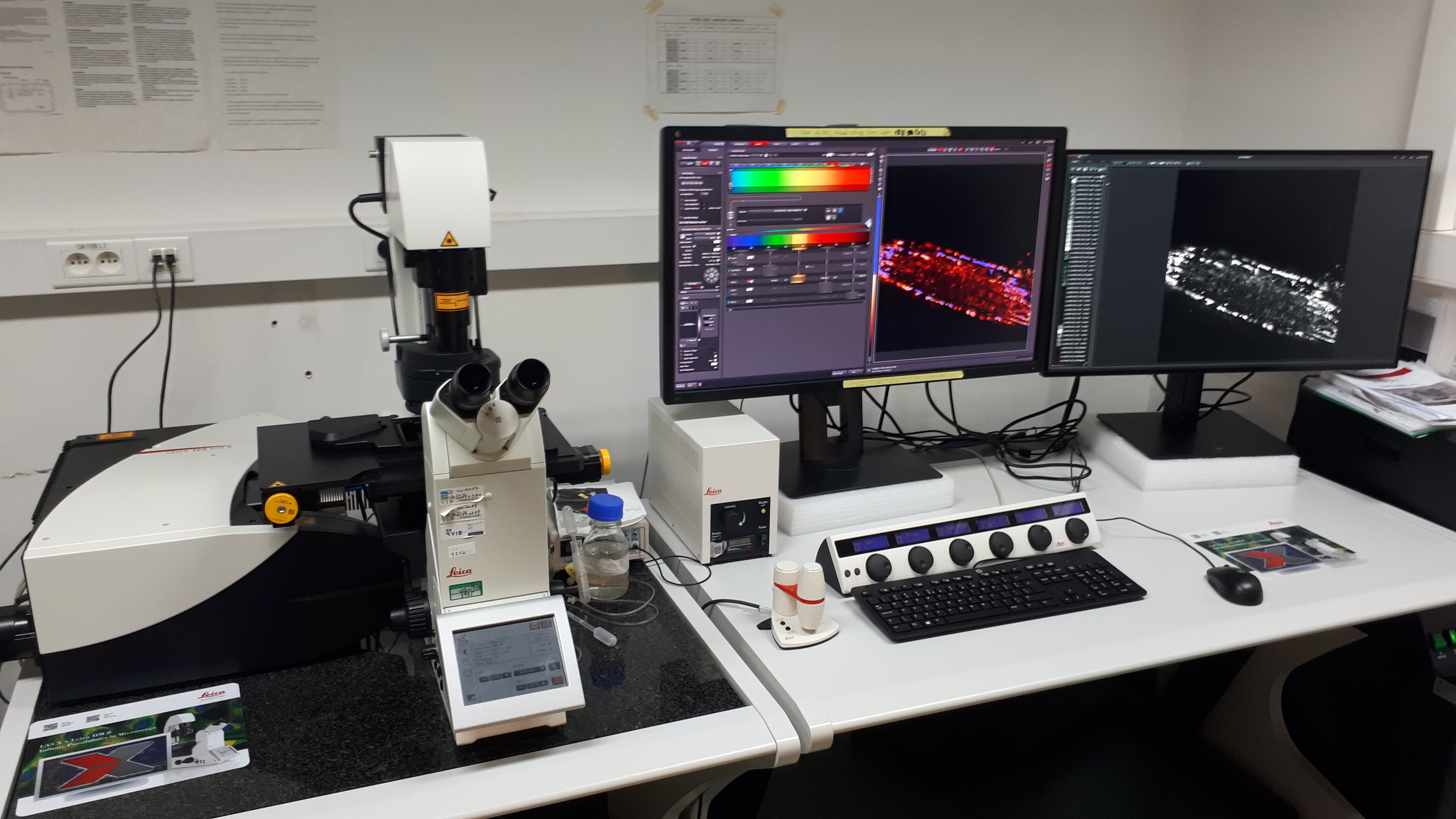 Confocal SP8X Leica