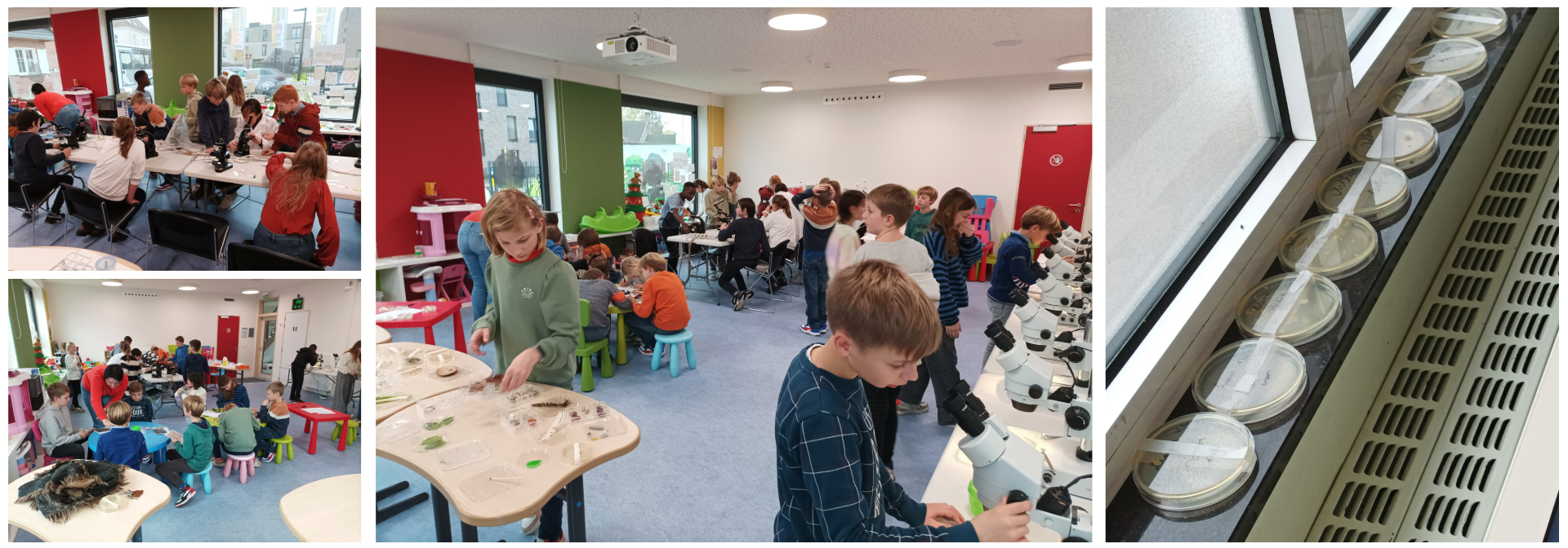 Wetenschap op stap 2022