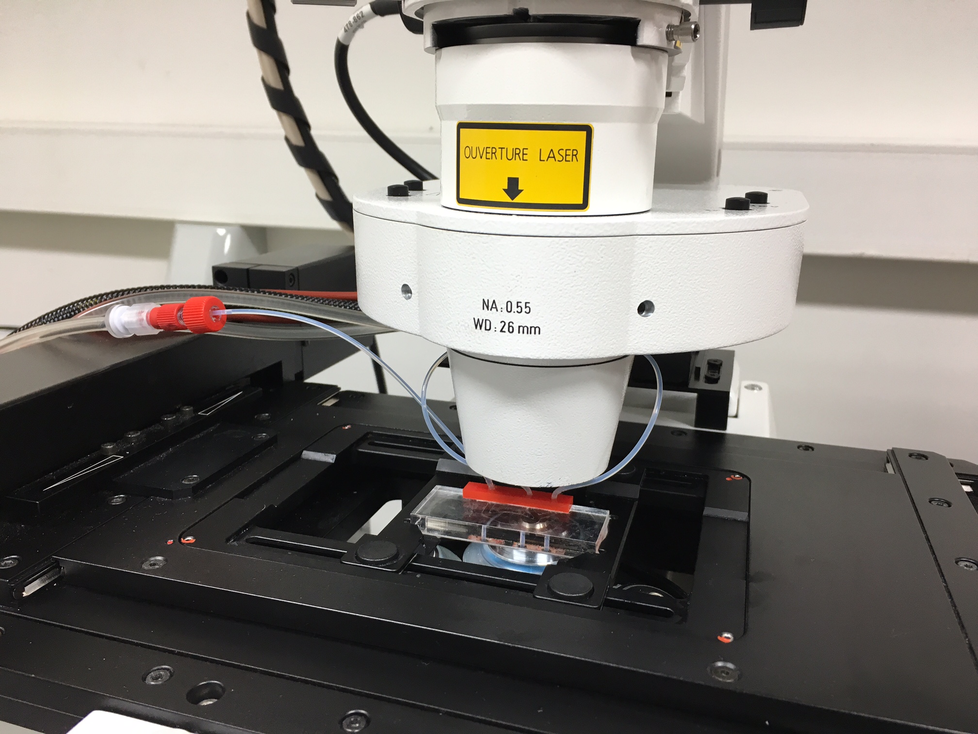 CherryTemp Heater Cooler for microscopy