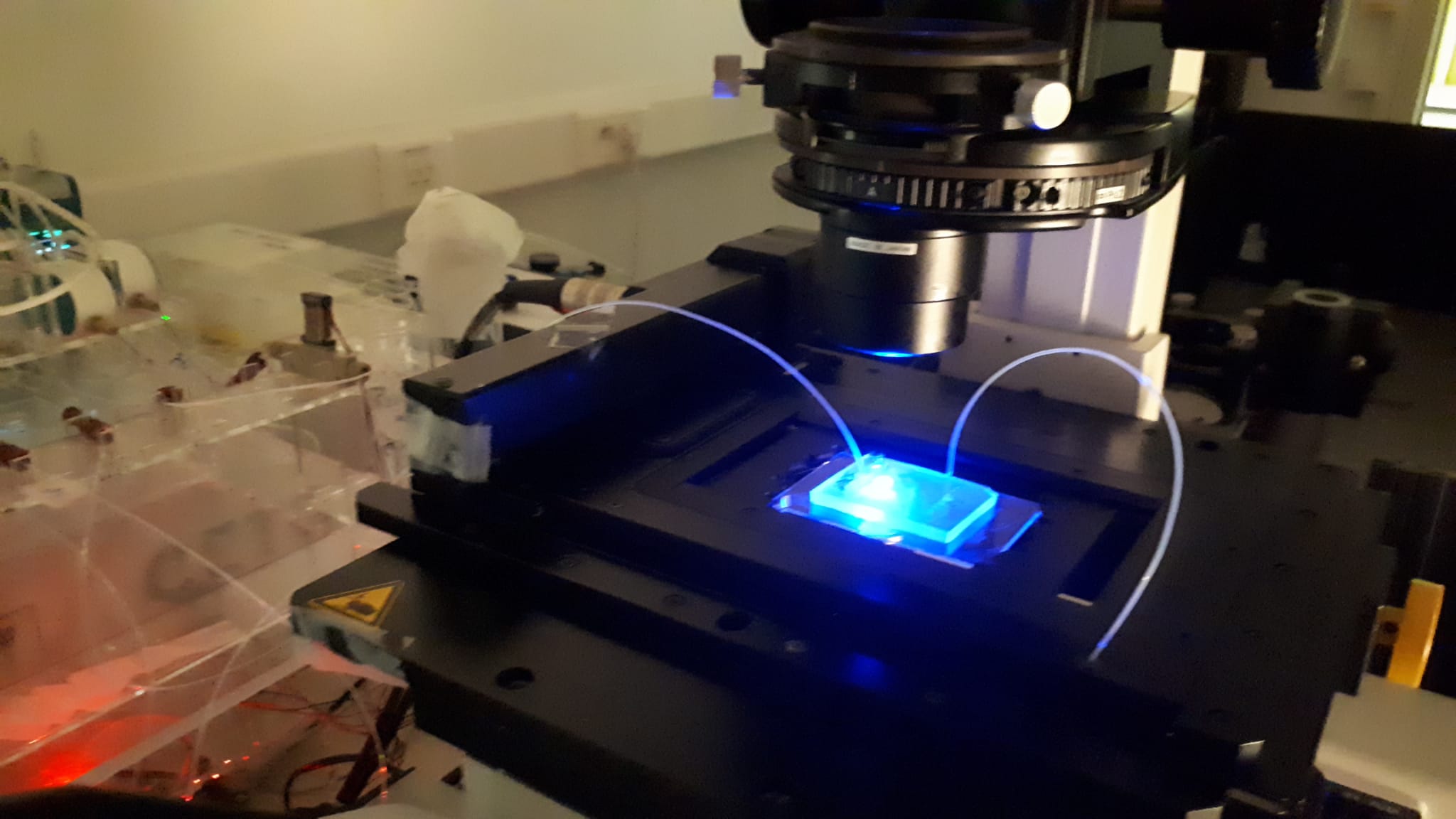 Microfluidic setup