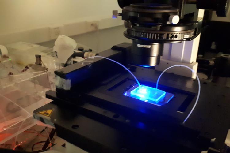 Microfluidic setup