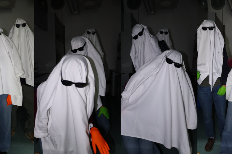 Alice Halloween 2025